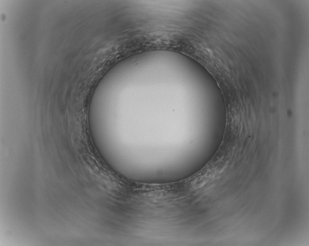 X0000088630769200705251432