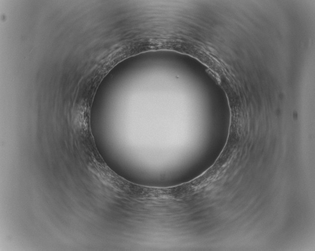 X0000088630770200705251432