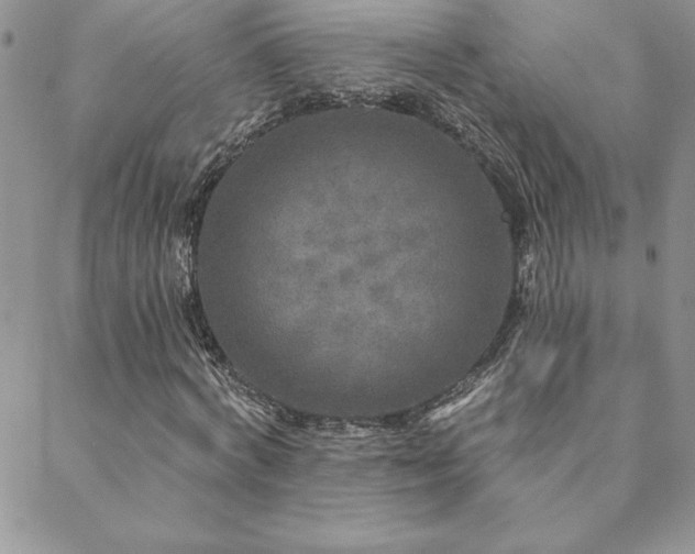 X0000088630772200705251432