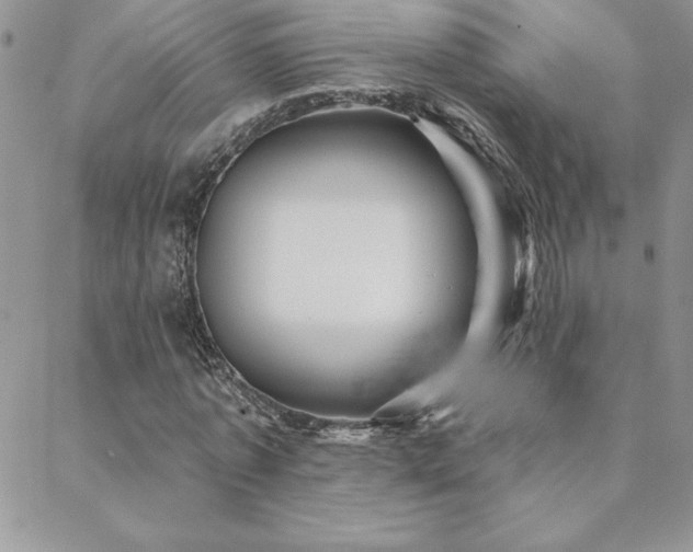 X0000088630773200705251432