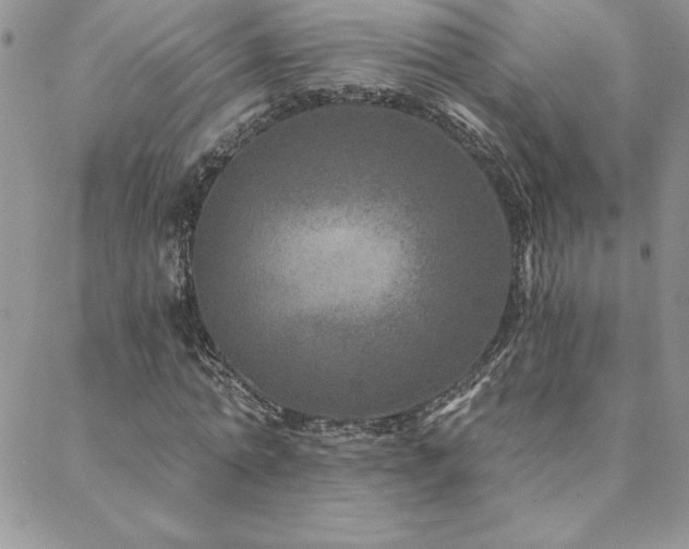 X0000088630774200705251431