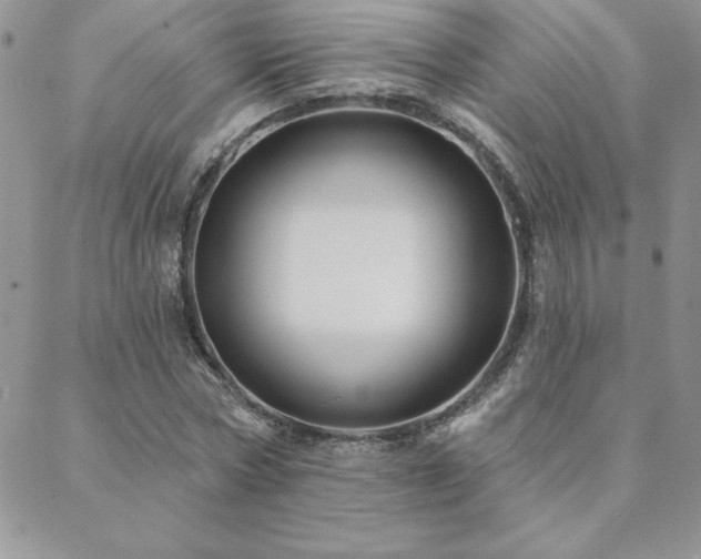 X0000088630778200705251431