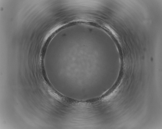 X0000088630779200705251431