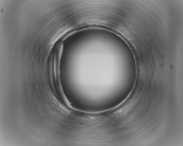 X0000088630782200705251431