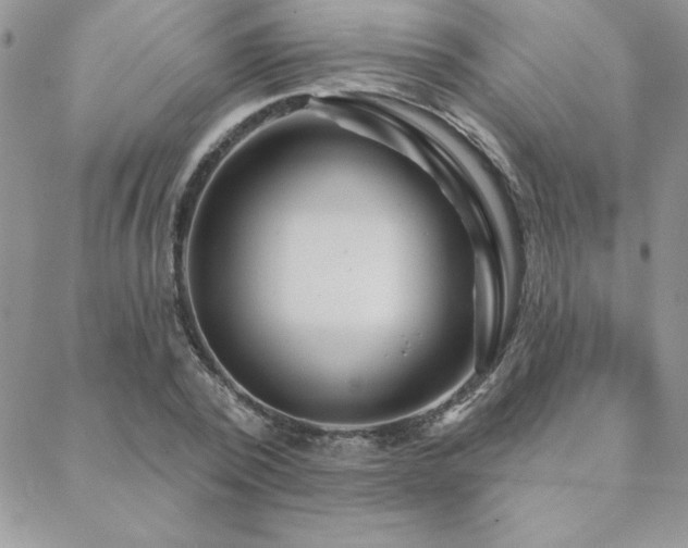 X0000088630784200705251431