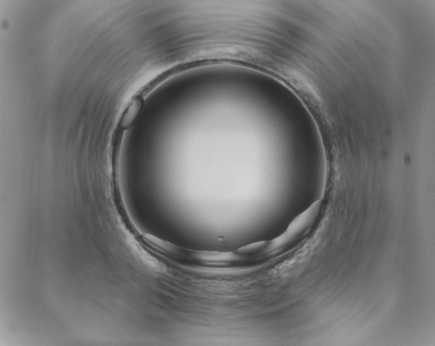X0000088630792200705251431