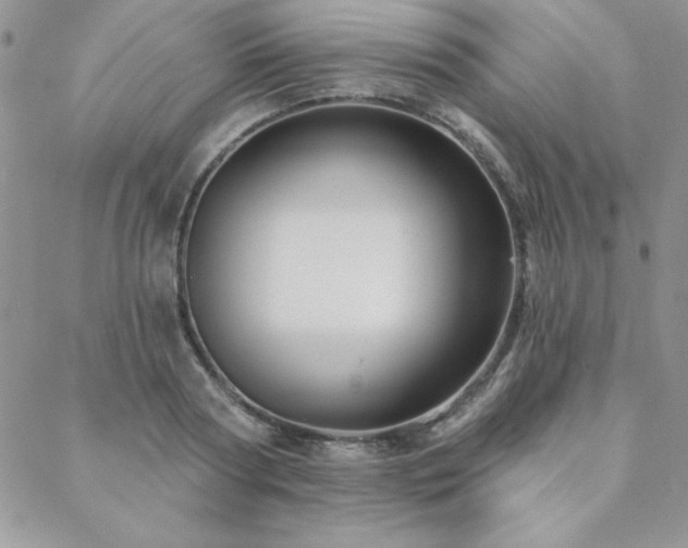 X0000088630794200705251431