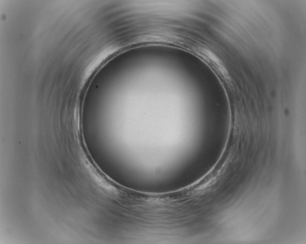 X0000088630796200705251431