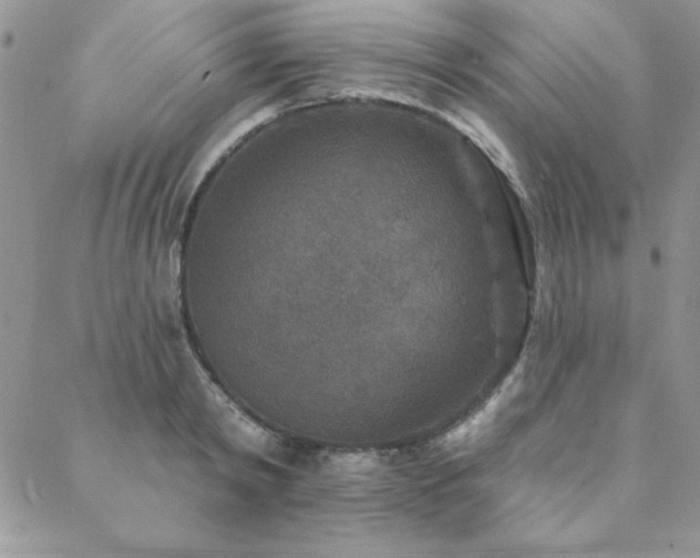X0000088630798200705251431
