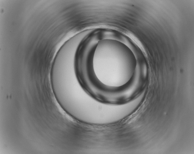 X0000088630813200705251431