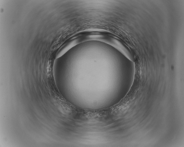 X0000088630818200705251430