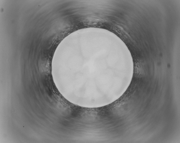 X0000088630820200705251430