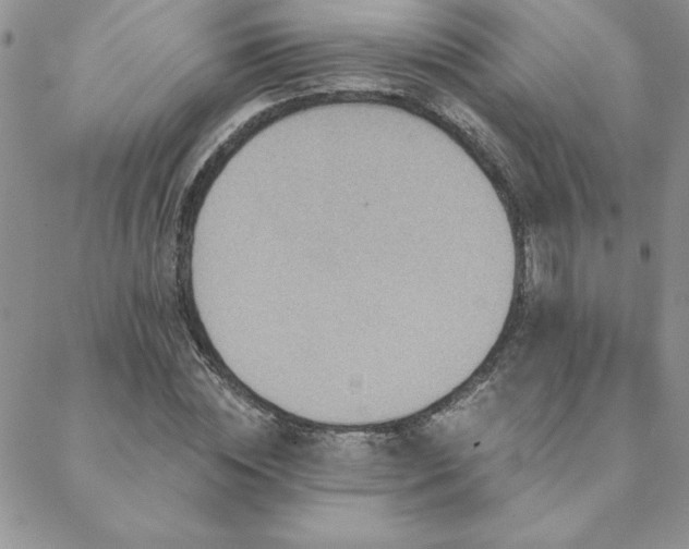X0000088630828200705251430