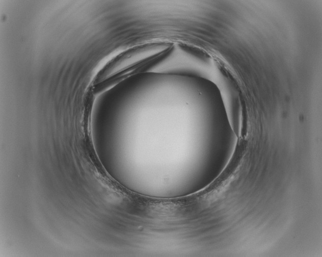 X0000088630830200705251430