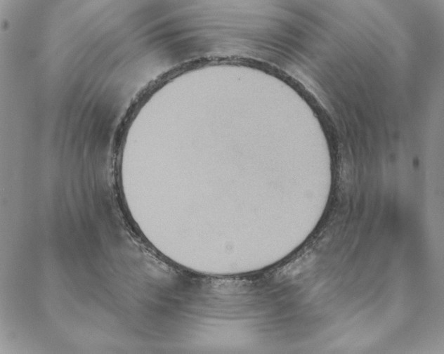 X0000088630832200705251430