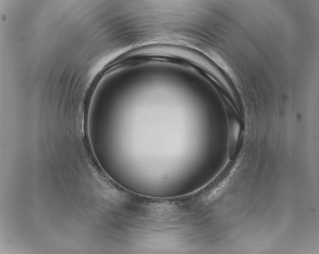 X0000088630838200705251430