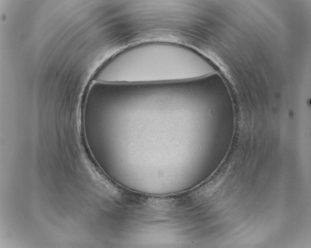 X0000088630840200705251430