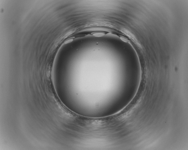 X0000088630841200705251430