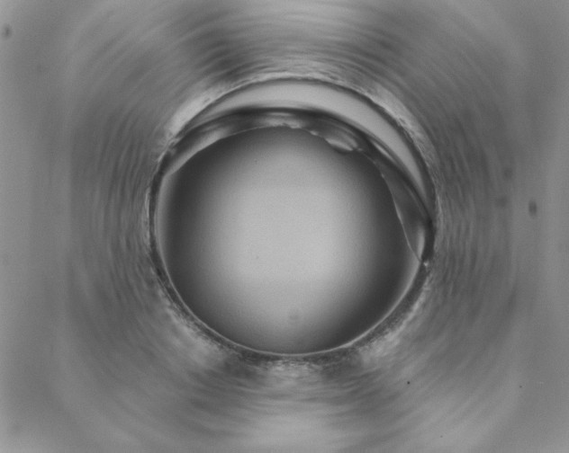 X0000088630842200705251430