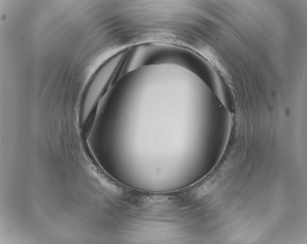 X0000088630846200705251430