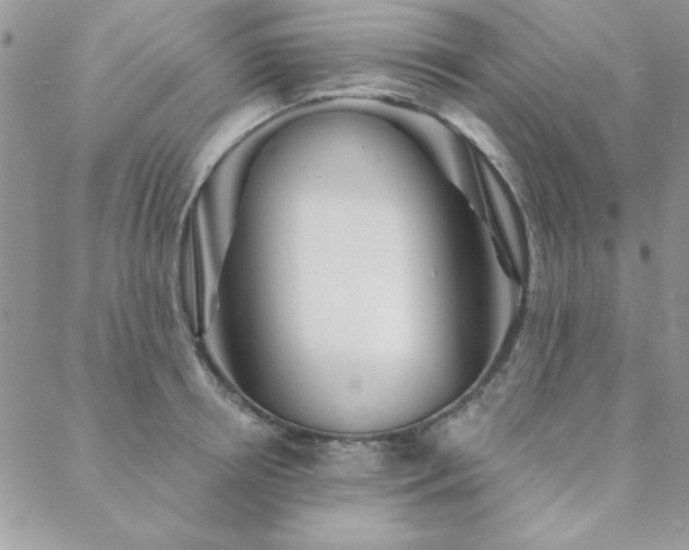 X0000088630850200705251431