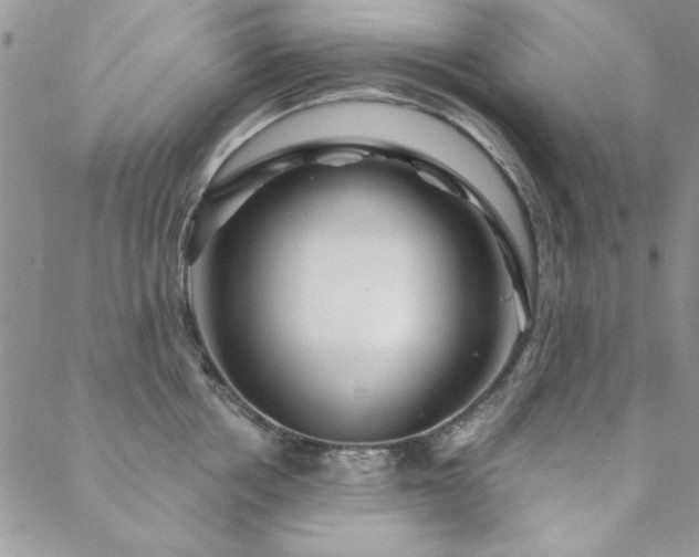 X0000088630858200705251431