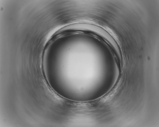 X0000088630862200705251431