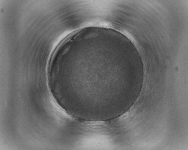 X0000088630864200705251431