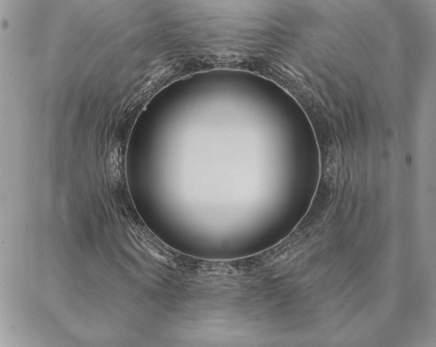 X0000088630866200705251430