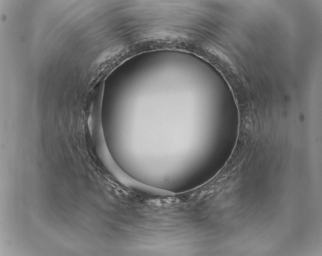 X0000088630869200705251430