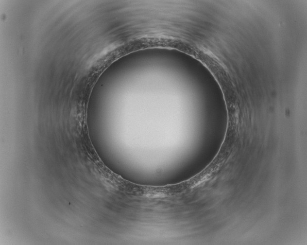 X0000088630870200705251430