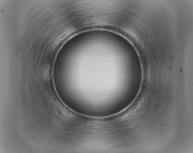 X0000088630873200705251430