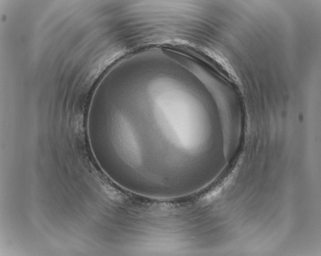 X0000088630881200705251430