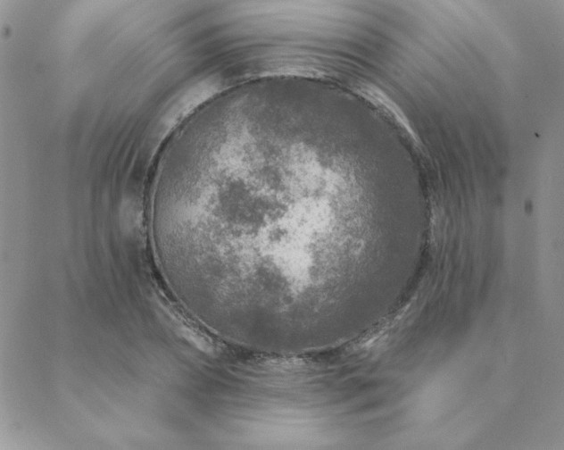 X0000088630882200705251430