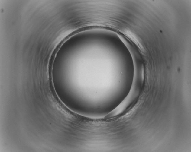 X0000088630884200705251430