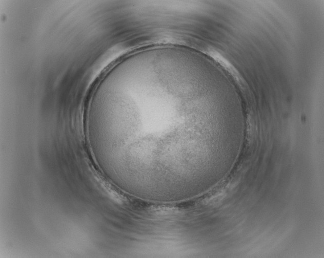 X0000088630886200705251430