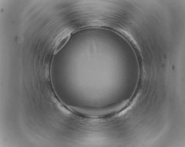 X0000088630889200705251430