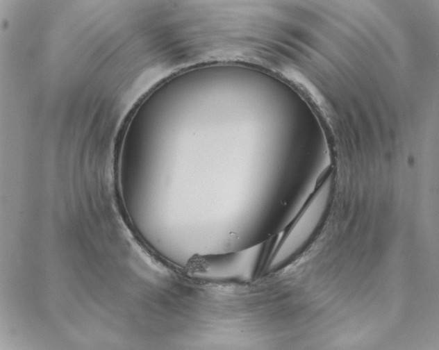 X0000088630894200705251430