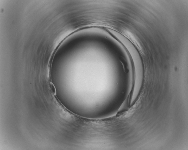 X0000088630900200705251429