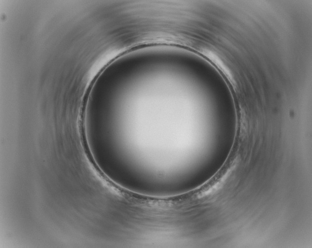 X0000088630901200705251429