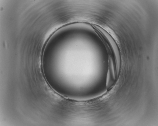 X0000088630904200705251429