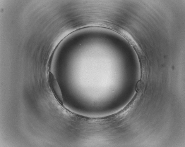 X0000088630908200705251429