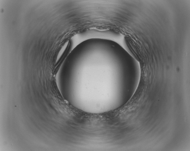 X0000088630916200705251429