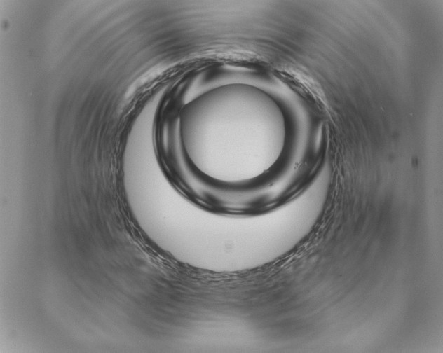 X0000088630920200705251429