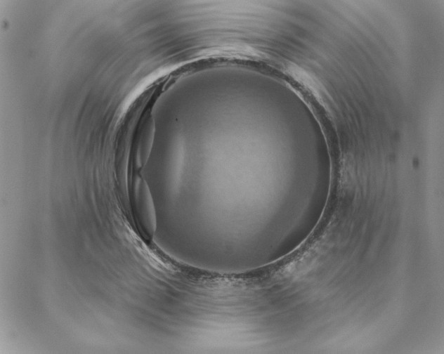 X0000088630923200705251429