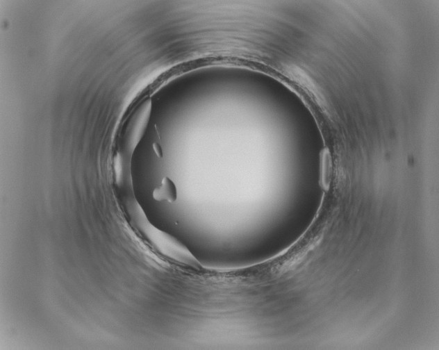 X0000088630924200705251429