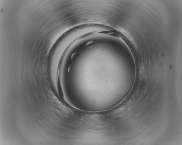 X0000088630926200705251429