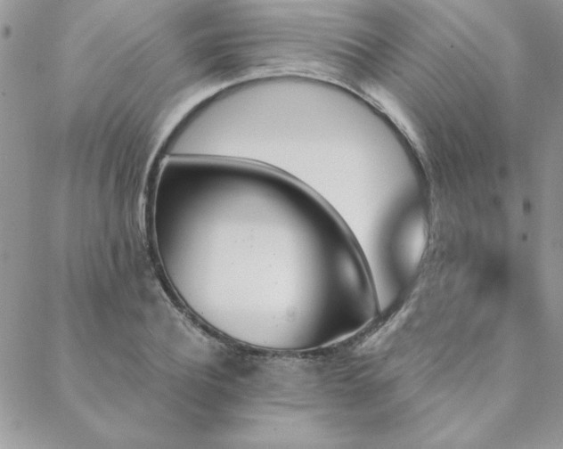 X0000088630932200705251429