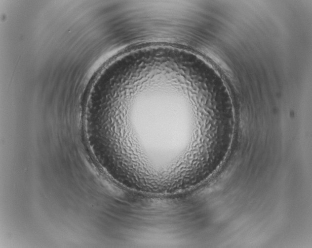 X0000088630933200705251429