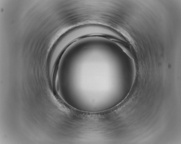 X0000088630934200705251429